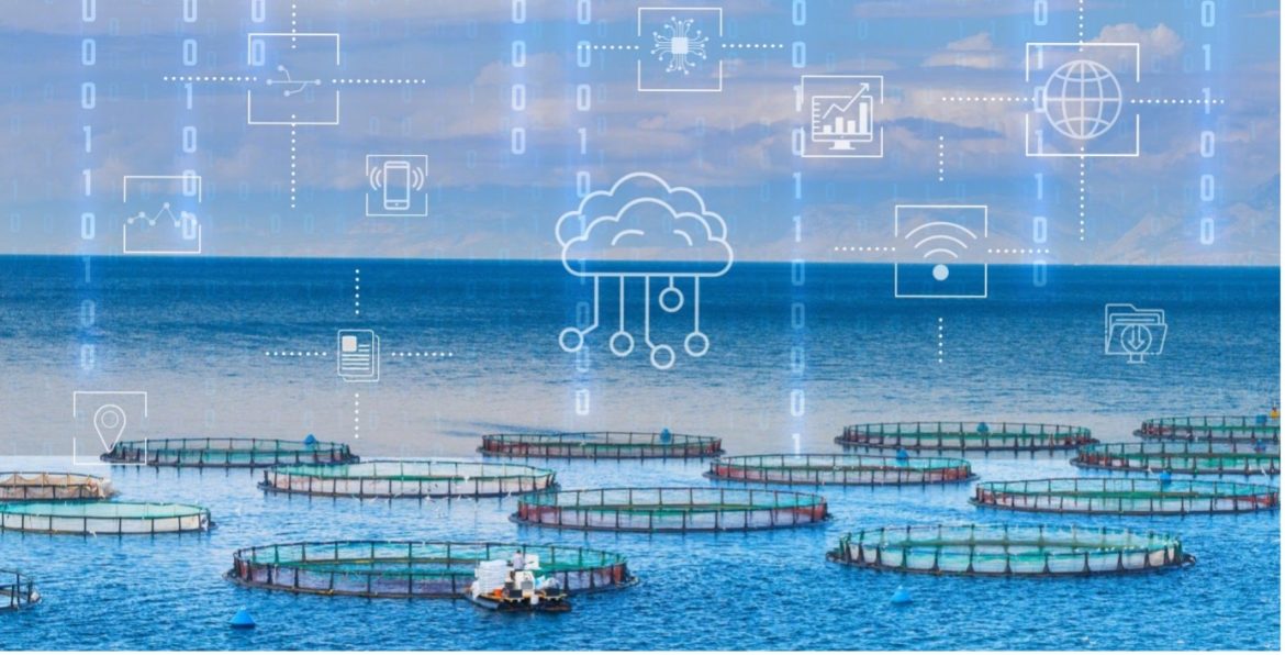 GoSmarts AI Powered Aquaculture Revolution Sustainable Fish Farming for a Greener Future GoSmarts AI Powered Aquaculture Revolution Sustainable Fish Farming for a Greener Future
