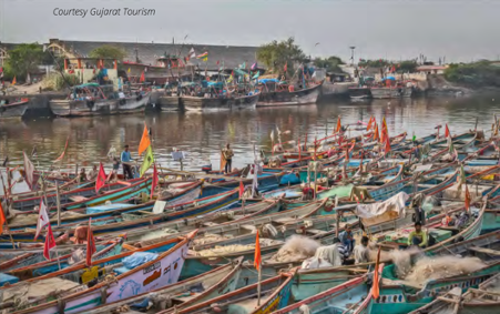 Gujarats Inland Fishing Output Witnesses Steady Decline Over a Decade Gujarats Inland Fishing Output Witnesses Steady Decline Over a Decade