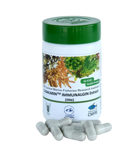 ICAR CMFRI Develops Seaweed Based Nutraceutical 22Cadalmin IMe22 with Immune Boosting and Antiviral Properties Against Delta Variant ICAR CMFRI Develops Seaweed Based Nutraceutical 22Cadalmin IMe22 with Immune Boosting and Antiviral Properties Against Delta Variant