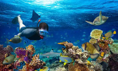 ICAR NBFGRs Innovative Breakthrough Advancing Technology for Captive Propagation of Marine Ornamental Shrimps in Lakshadweep ICAR NBFGRs Innovative Breakthrough Advancing Technology for Captive Propagation of Marine Ornamental Shrimps in Lakshadweep