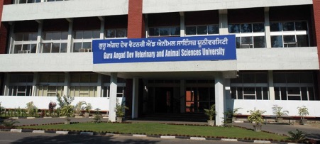 Ludhiana Veterinary University Experts Educate Farmers on Monsoon Fish Pond Care Ludhiana Veterinary University Experts Educate Farmers on Monsoon Fish Pond Care