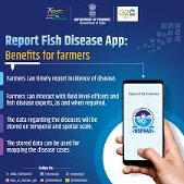 Report Fish Disease App A Boon for the Aquaculture in the Nation Report Fish Disease App A Boon for the Aquaculture in the Nation