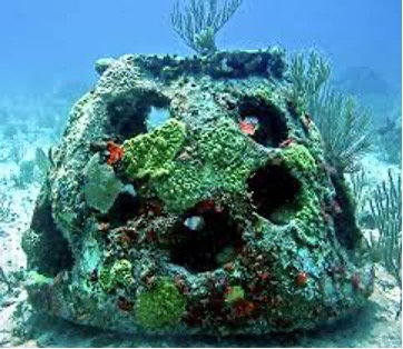 Union Government to Deploy Artificial Reefs in 3477 Fishing Villages for Sustainable Fishing Union Government to Deploy Artificial Reefs in 3477 Fishing Villages for Sustainable Fishing