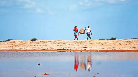 Landmark NGT Ruling Puts Nationwide Aquaculture Industry Under Stricter Environmental Scrutiny Landmark NGT Ruling Puts Nationwide Aquaculture Industry Under Stricter Environmental Scrutiny
