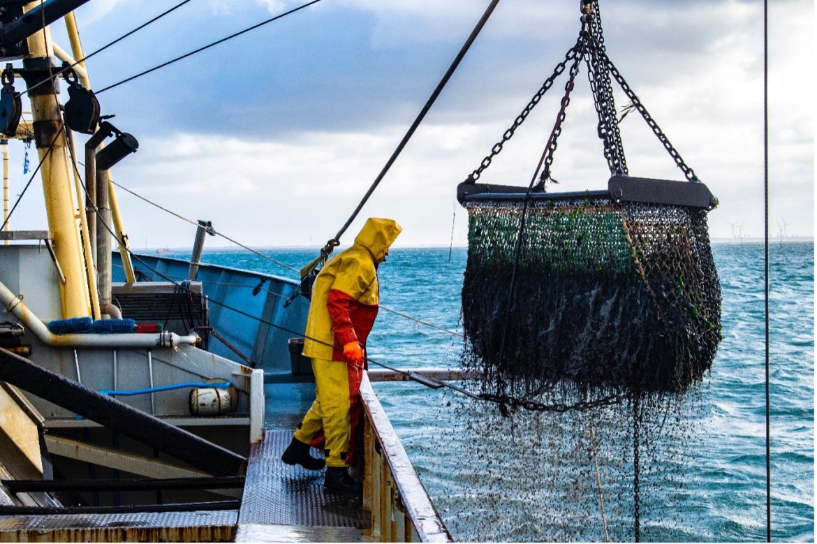 Navigating the Waves of Change Building Climate Resilient Fisheries for a Sustainable Future Navigating the Waves of Change Building Climate Resilient Fisheries for a Sustainable Future