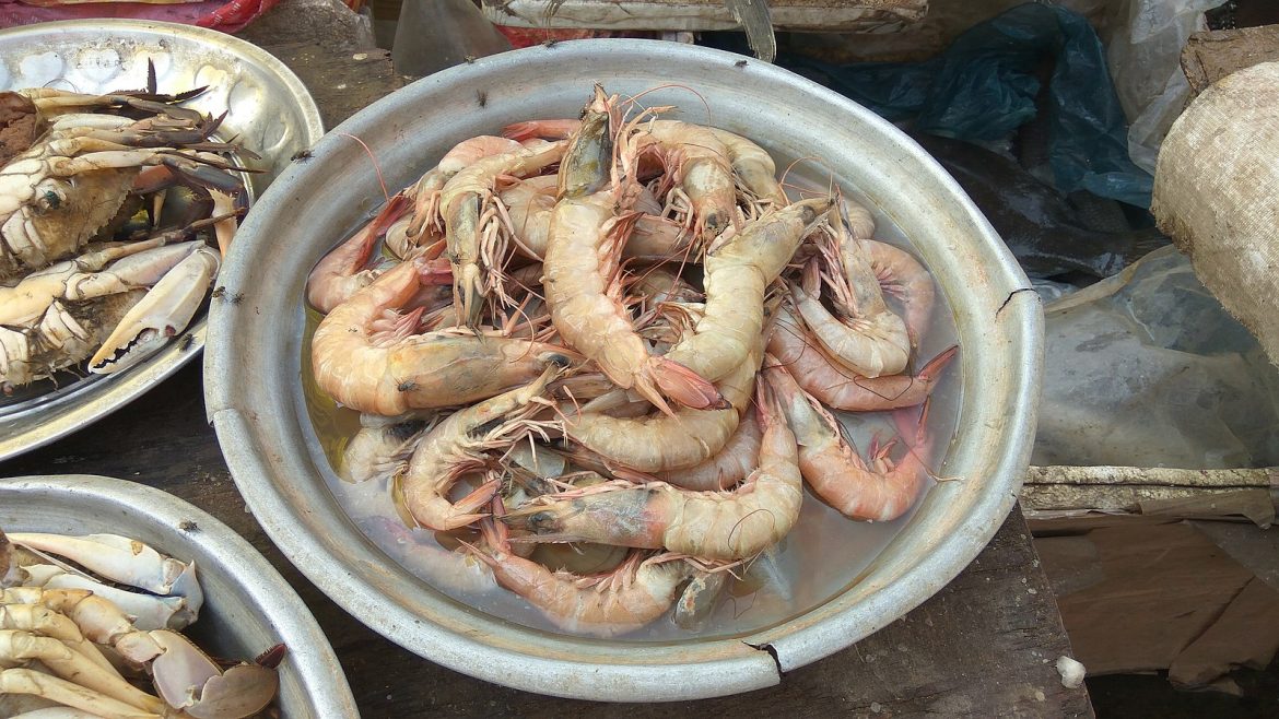 Proposed India Shrimp Tariff Act by U.S. Senator Sparks Worries in Indian Seafood Industry Proposed India Shrimp Tariff Act by U.S. Senator Sparks Worries in Indian Seafood Industry