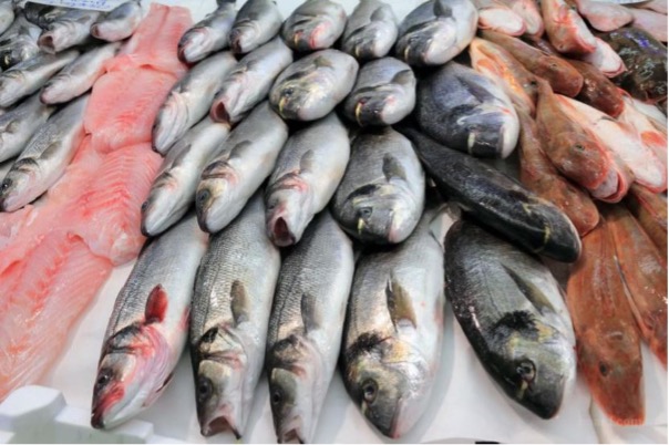 Russia Implements Import Ban on Japanese Fish and Seafood Amid Fukushima Wastewater Concerns Russia Implements Import Ban on Japanese Fish and Seafood Amid Fukushima Wastewater Concerns