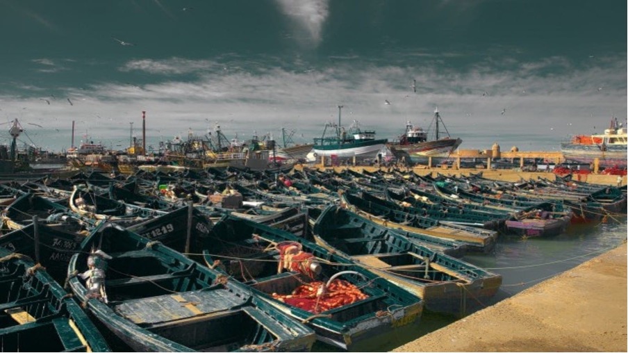 Tanzanian President Samia Suluhu Hassan Initiates Construction of First Fishing Harbour Tanzanian President Samia Suluhu Hassan Initiates Construction of First Fishing Harbour
