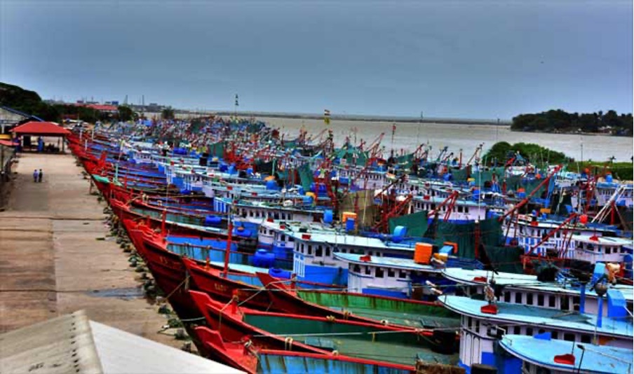 Fishing Industry Faces Downturn in Mangaluru as 30 35 of Trawl Boats Remain Docked Due to Fish Shortage Fishing Industry Faces Downturn in Mangaluru as 30 35 of Trawl Boats Remain Docked Due to Fish Shortage