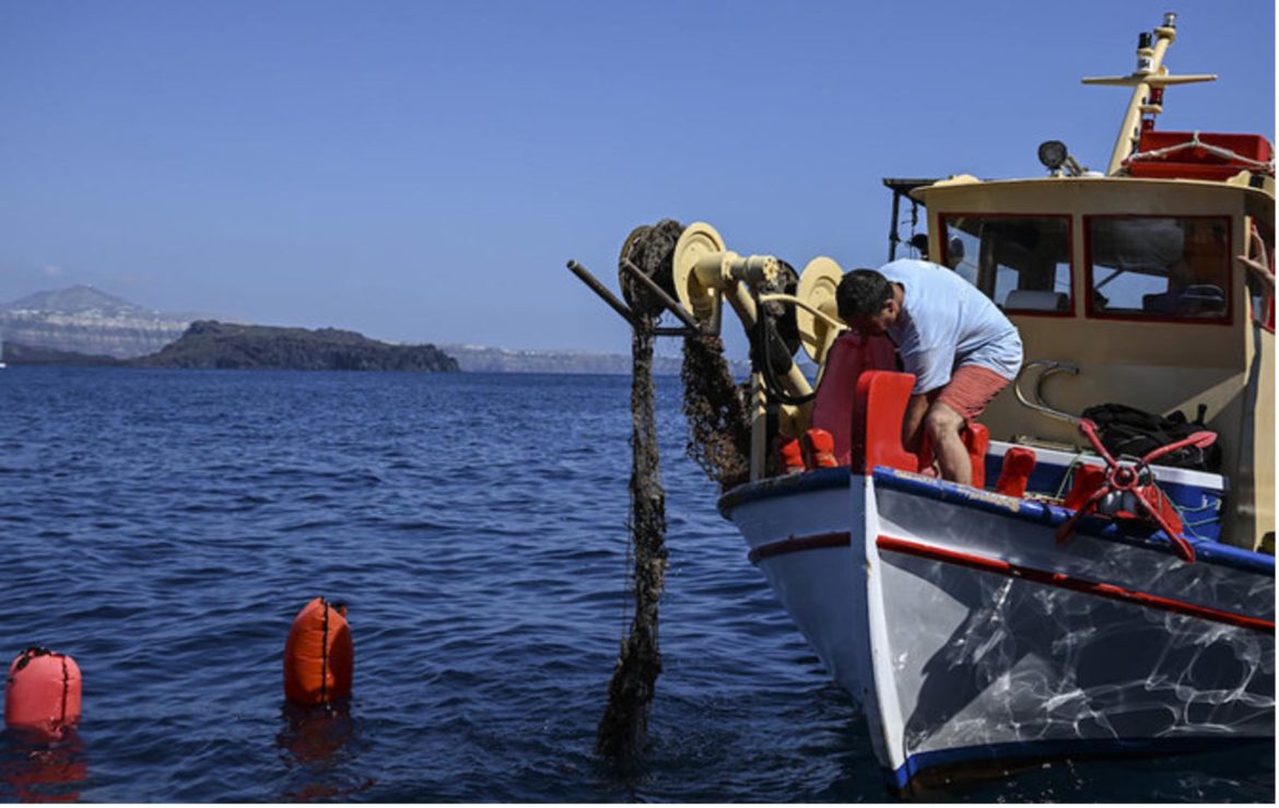 World Bank Supports Moroccos Fisheries Conservation Through Innovative Marine Spatial Planning World Bank Supports Moroccos Fisheries Conservation Through Innovative Marine Spatial Planning