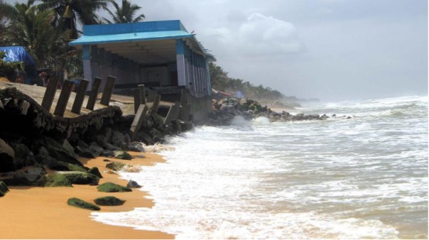 Andhra Pradesh Allocates ₹80 Crores for Six New Fish Landing Centres to Empower Coastal Economy Andhra Pradesh Allocates ₹80 Crores for Six New Fish Landing Centres to Empower Coastal Economy