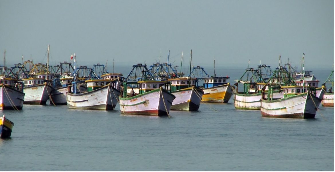 Boost for Fishermen Gujarat Government Increases Subsidised Diesel Quota for Mechanised Fishing Boats Boost for Fishermen Gujarat Government Increases Subsidised Diesel Quota for Mechanised Fishing Boats