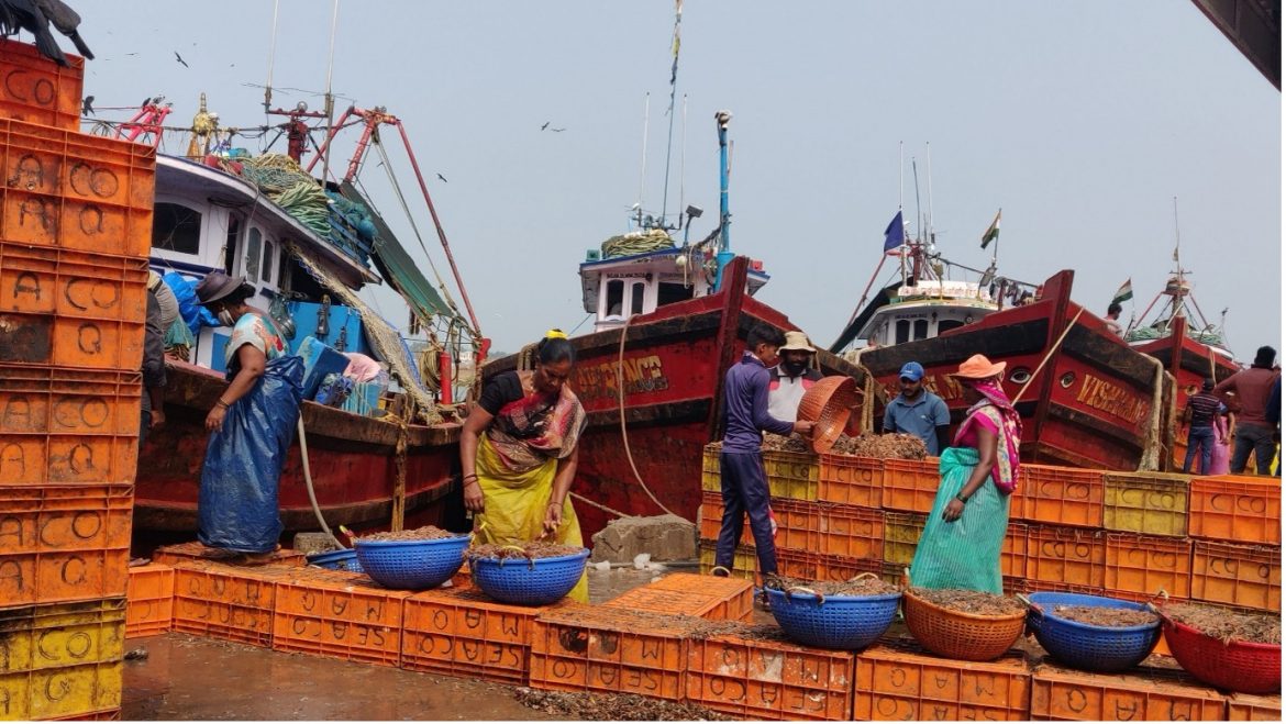 Electricity Woes Pose Threat to Coastal Fishing Industry in Karnataka Electricity Woes Pose Threat to Coastal Fishing Industry in Karnataka