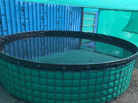 Goa Fish Farmers Reap Profits with Biofloc Innovation