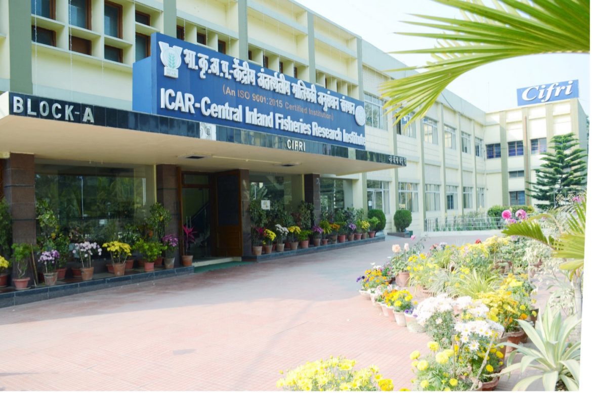ICAR CIFRI to Share Bengals Successful Fisheries Models with Southeast Asian Nations ICAR CIFRI to Share Bengals Successful Fisheries Models with Southeast Asian Nations