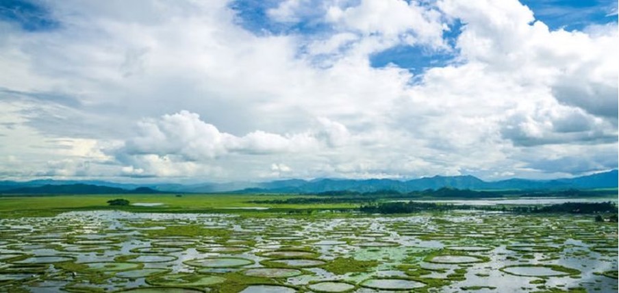 Manipur Fishery Department Issues Eviction Notice to Halt Unlawful Encroachments on Takmu Experimental Fish Farm Manipur Fishery Department Issues Eviction Notice to Halt Unlawful Encroachments on Takmu Experimental Fish Farm