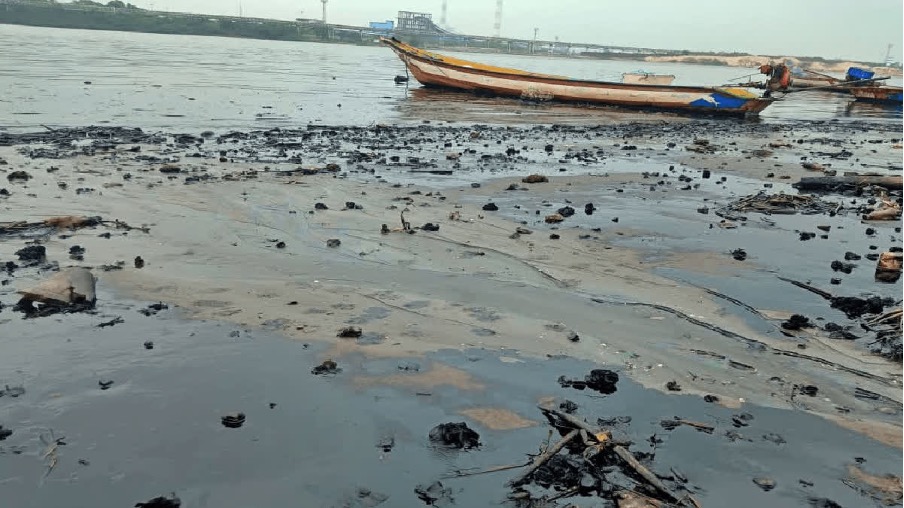 Massive Oil Spill in Chennais Ennore Creek Devastates Livelihoods of Thousands Massive Oil Spill in Chennais Ennore Creek Devastates Livelihoods of Thousands