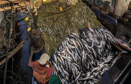 Namibia Grapples with Alarming Economic Losses due to Rampant Illegal Fishing Activities Namibia Grapples with Alarming Economic Losses due to Rampant Illegal Fishing Activities