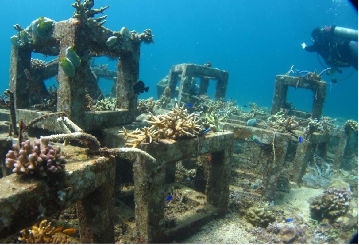 Puducherry Government and CMFRI Collaborate to Introduce Artificial Reefs for Enhanced Fish Breeding Puducherry Government and CMFRI Collaborate to Introduce Artificial Reefs for Enhanced Fish Breeding