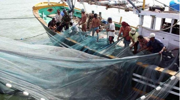 Rare Introduces Worlds First Small Scale Fisheries Impact Bond to Drive Ocean Conservation Rare Introduces Worlds First Small Scale Fisheries Impact Bond to Drive Ocean Conservation