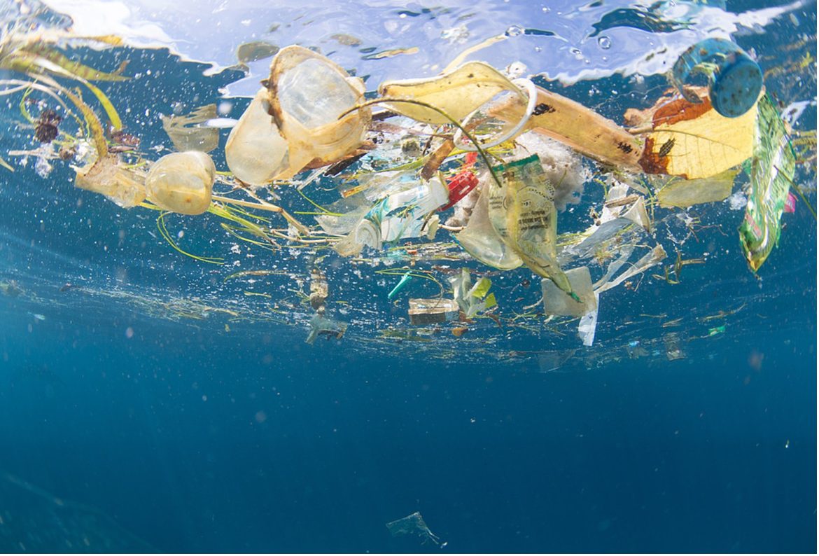 Thriving Indian Blue Economy Requires Vigilance Against Marine Litter Thriving Indian Blue Economy Requires Vigilance Against Marine Litter
