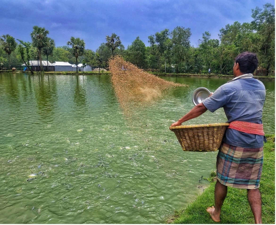 Climate Change Causes 140 Million Loss in Bangladeshs Aquaculture Sector Over the Past Decade Climate Change Causes 140 Million Loss in Bangladeshs Aquaculture Sector Over the Past Decade