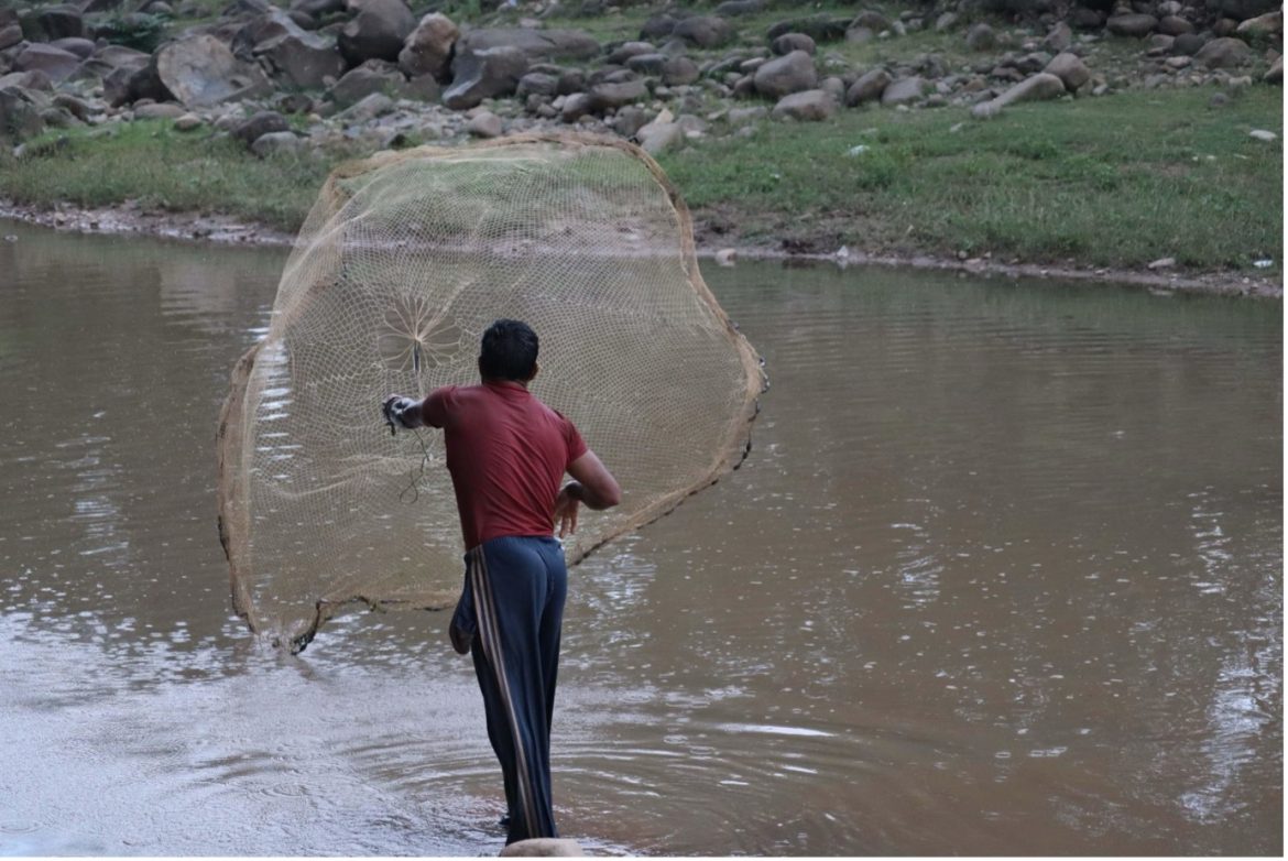 Remarkable Surge in Fish Production Boosts Economy in Jammu and Kashmir Remarkable Surge in Fish Production Boosts Economy in Jammu and Kashmir