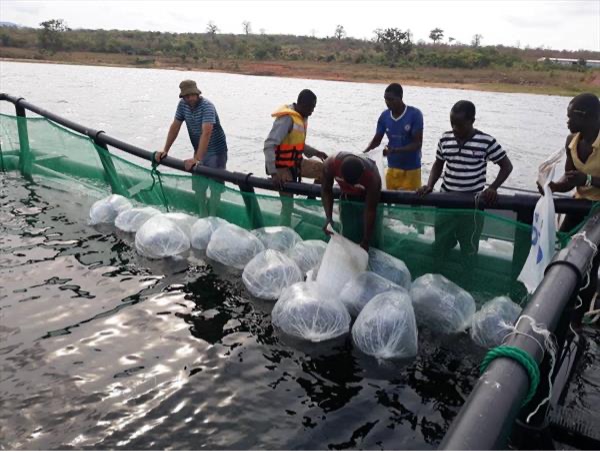 UAPB Aquaculture Program Empowers Ghanaian University and Students UAPB Aquaculture Program Empowers Ghanaian University and Students