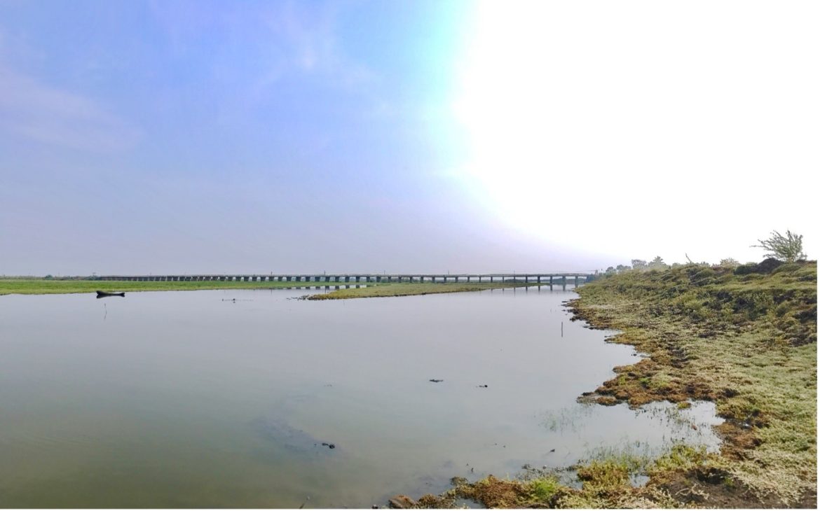 Kolleru Lakes Metamorphosis A Haunting Journey from Biodiversity Oasis to Fish Pond Wasteland Kolleru Lakes Metamorphosis A Haunting Journey from Biodiversity Oasis to Fish Pond Wasteland