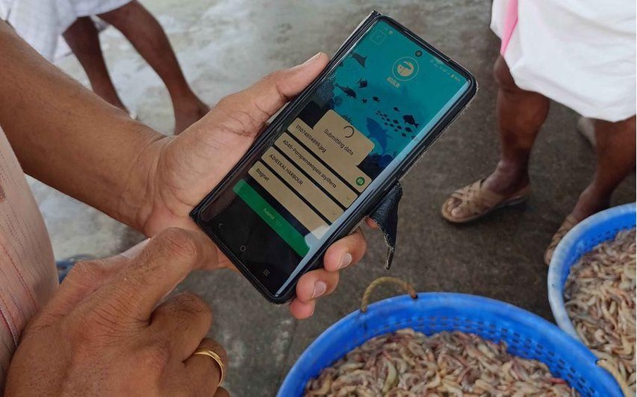 CMFRI Launches MARLIN@CMFRI Mobile App for Marine Fisheries Research CMFRI Launches MARLIN@CMFRI Mobile App for Marine Fisheries Research