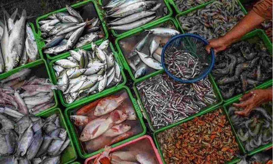 Kerala State Coastal Area Development Corporation KSCADC receives orders worth Rs 49.5 Lakh from the international market for added value fish products Kerala State Coastal Area Development Corporation KSCADC receives orders worth Rs 49.5 Lakh from the international market for added value fish products