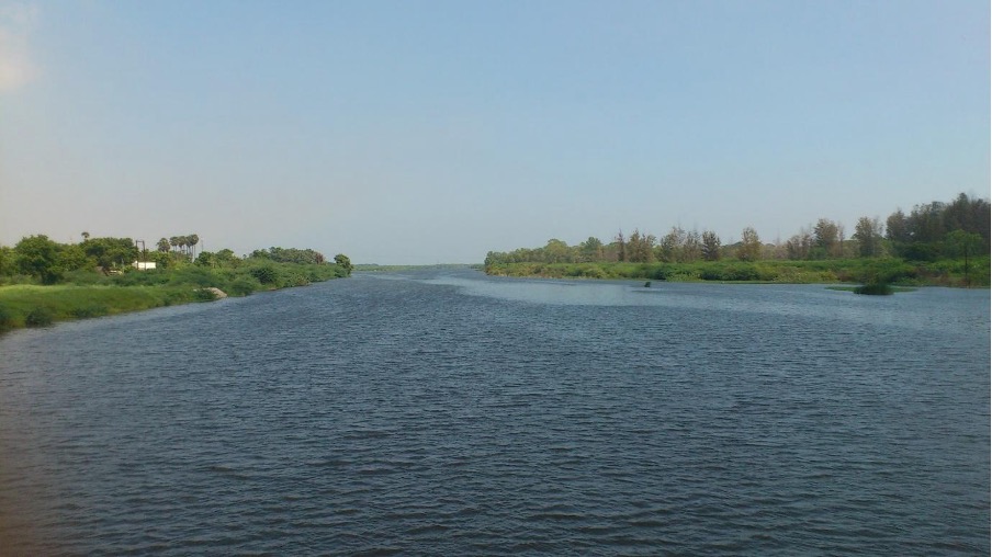 Tamirabharani River Survey Reveals 36 Fish Species Highlights Need for Conservation Efforts Tamirabharani River Survey Reveals 36 Fish Species Highlights Need for Conservation Efforts