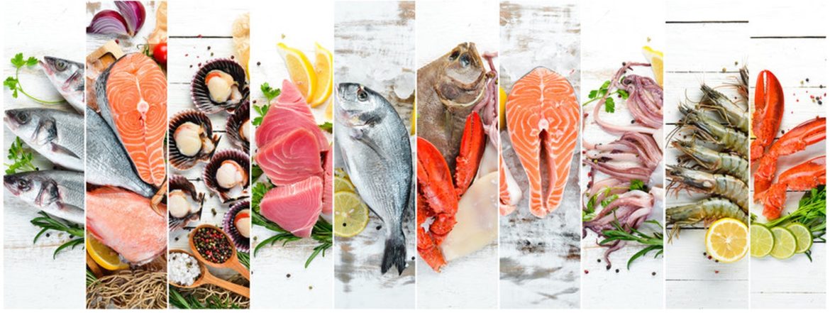 Booming Frozen Seafood Packaging Market Offers Worldwide Opportunities with Innovations Forecast to 2032 Booming Frozen Seafood Packaging Market Offers Worldwide Opportunities with Innovations Forecast to 2032