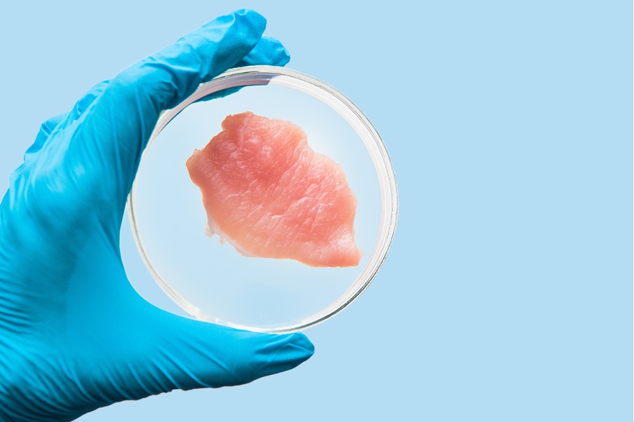 From Lab to Table Meet the company Aims to Introduce Lab Grown Fish to Consumers From Lab to Table Meet the company Aims to Introduce Lab Grown Fish to Consumers