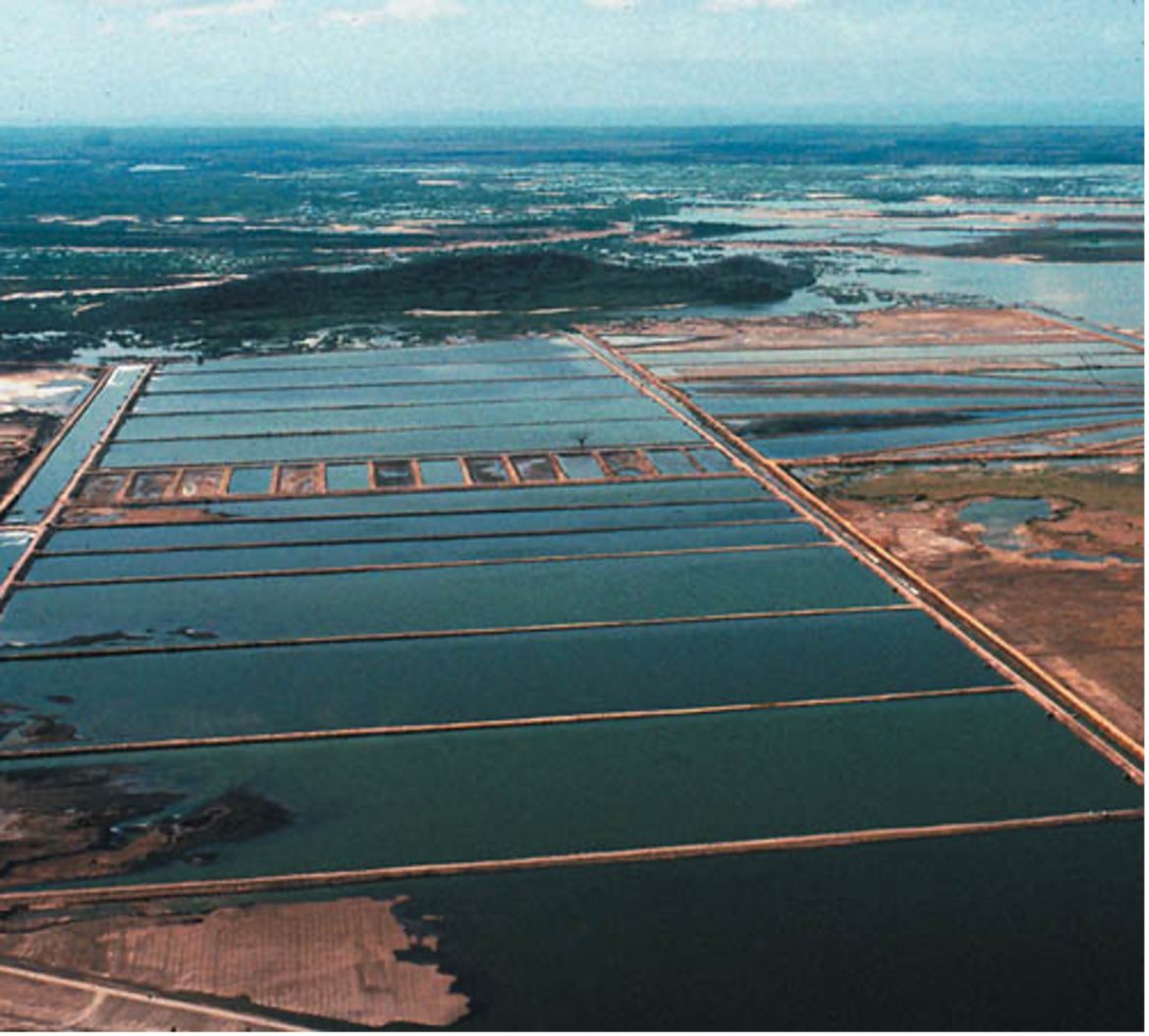 Coastal Aquaculture Boosts India’s Seafood Industry Under PMMSY Initiative Coastal Aquaculture Boosts India's Seafood Industry Under PMMSY Initiative