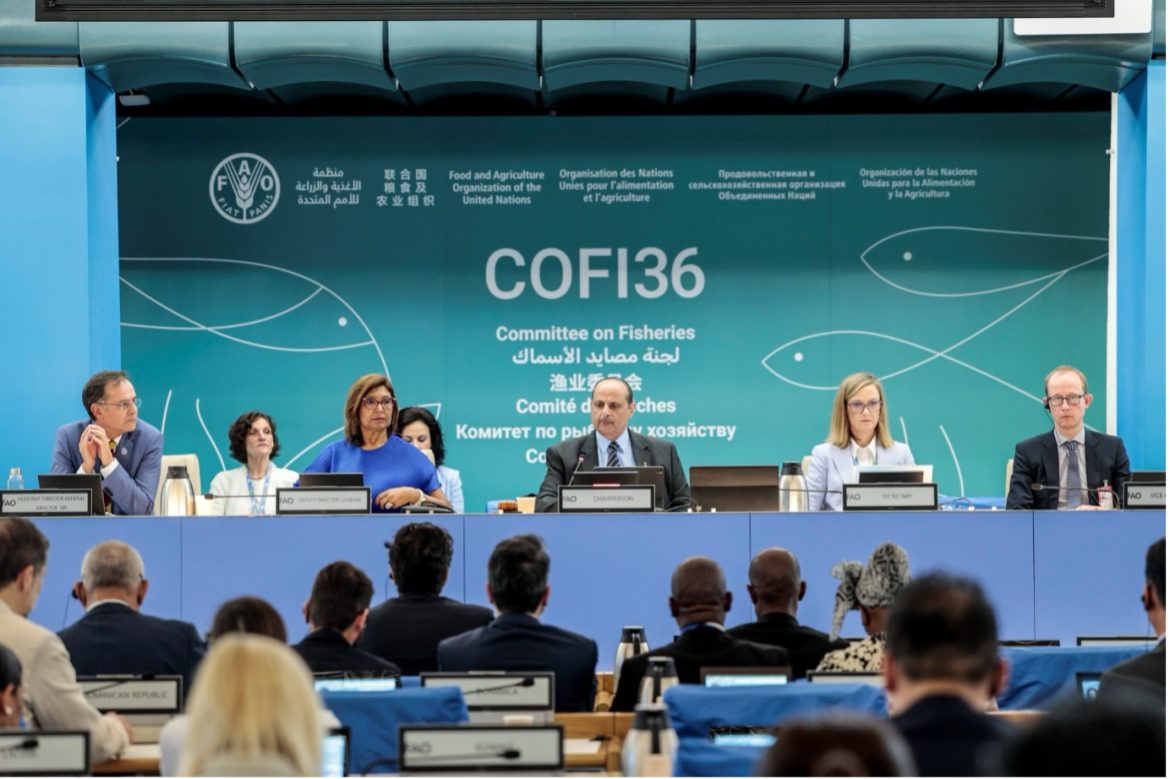 Global Meeting Highlights Fisheries and Aquaculture’s Key Role in Addressing Food Insecurity Malnutrition and Poverty Global Meeting Highlights Fisheries and Aquaculture’s Key Role in Addressing Food Insecurity Malnutrition and Poverty