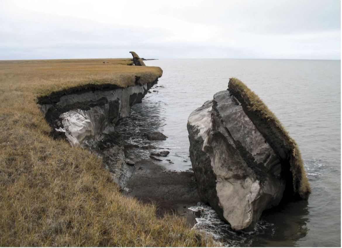 COASTAL EROSION THREATENS ANDHRA PRADESH % OF COASTLINE ERODED STUDY REVEALS COASTAL EROSION THREATENS ANDHRA PRADESH % OF COASTLINE ERODED STUDY REVEALS