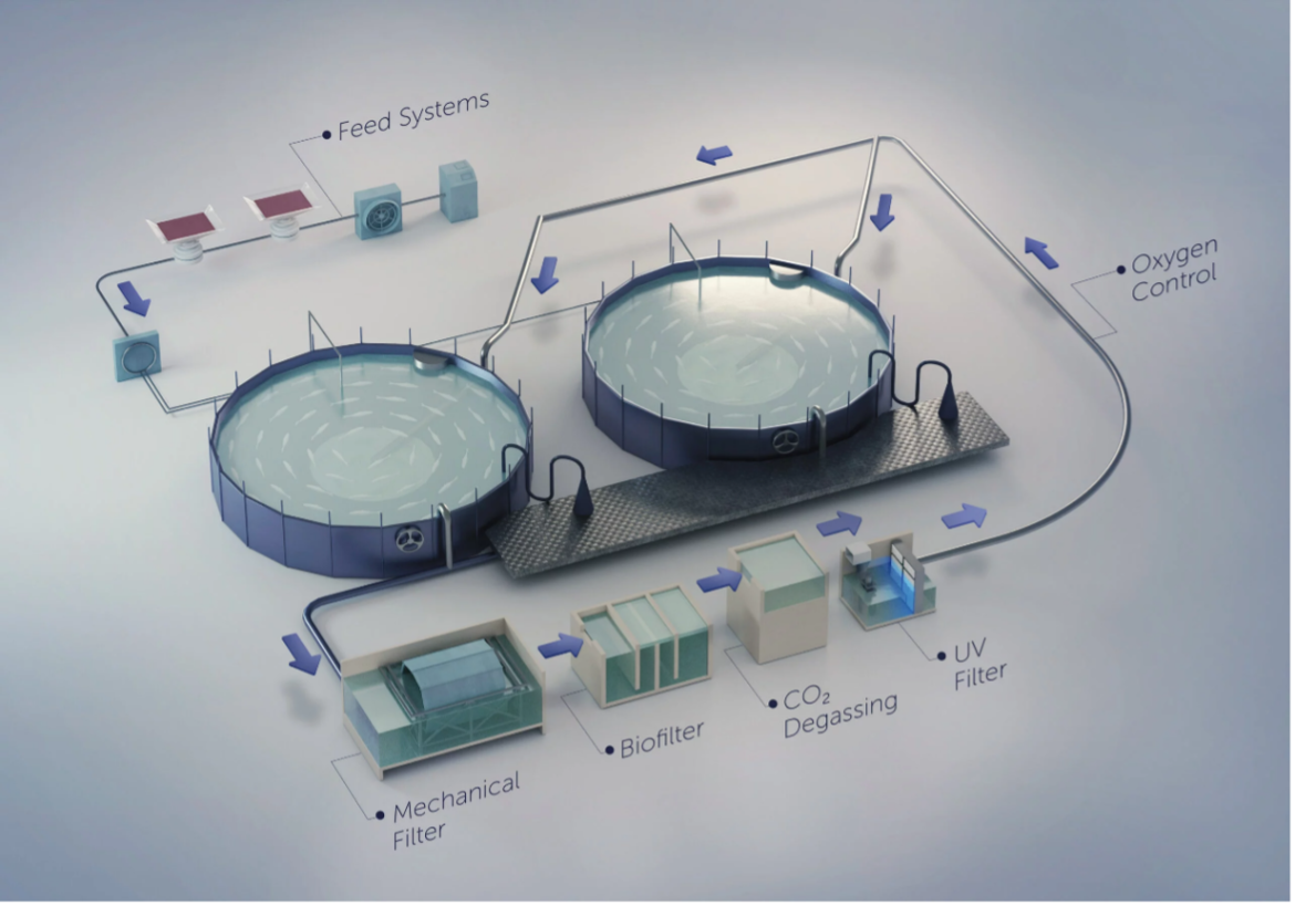 Government of India Boosts Sustainable Aquaculture with RAS Technology Government of India Boosts Sustainable Aquaculture with RAS Technology