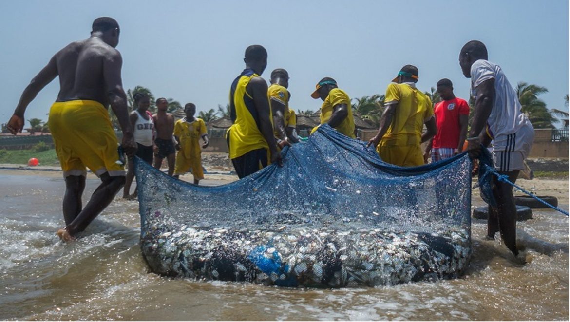 Ghana to Introduce New Bill for Regulating Fisheries and Aquaculture Ghana to Introduce New Bill for Regulating Fisheries and Aquaculture