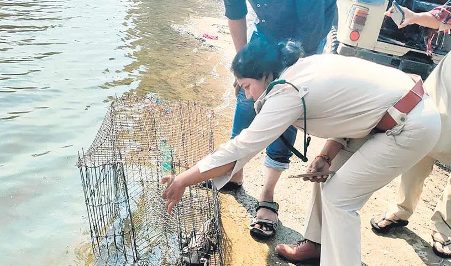 FISHERMAN IN RAPALLI VILLAGE FINDS BABY CROCODILE IN FISH TRAP FISHERMAN IN RAPALLI VILLAGE FINDS BABY CROCODILE IN FISH TRAP