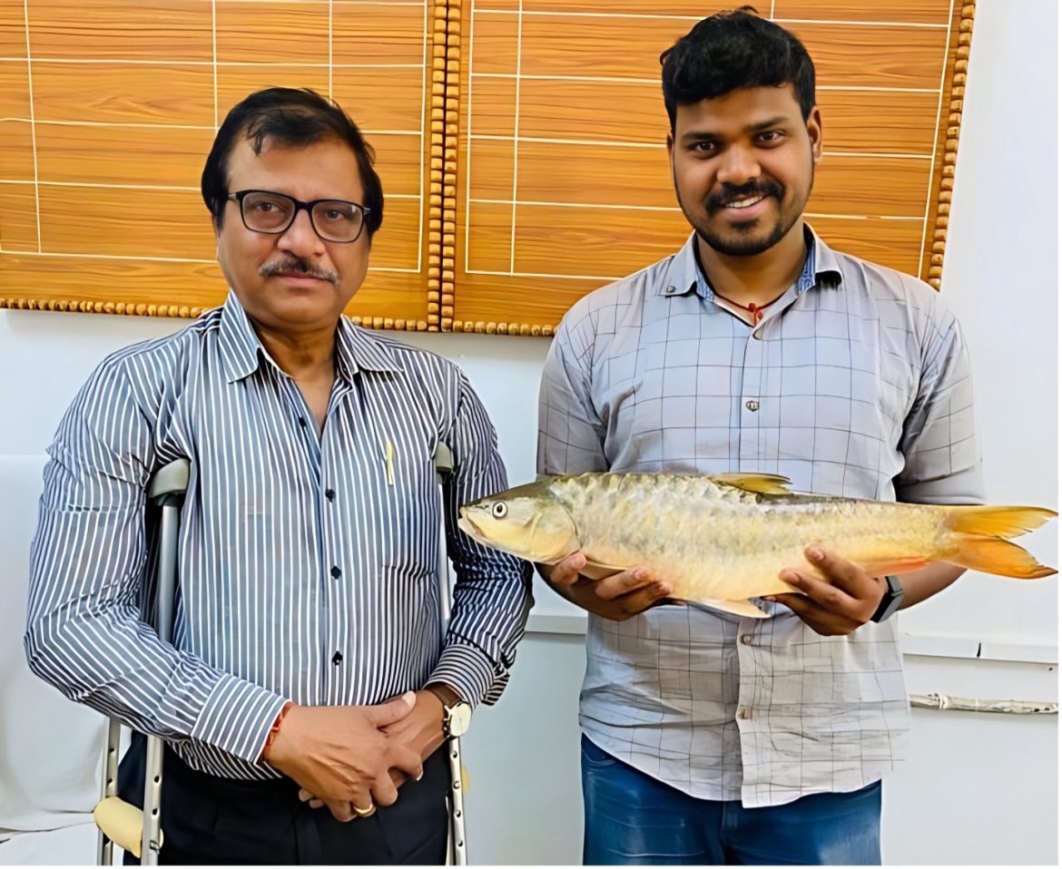 RESEARCHERS DISCOVER MAHSEER SPECIES IN INDRAVATI RIVER FOR THE FIRST TIME RESEARCHERS DISCOVER MAHSEER SPECIES IN INDRAVATI RIVER FOR THE FIRST TIME