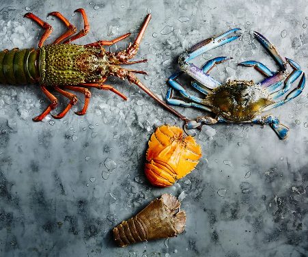 advanced training on crustacean studies and analytical techniques ADVANCED TRAINING ON CRUSTACEAN STUDIES AND ANALYTICAL TECHNIQUES