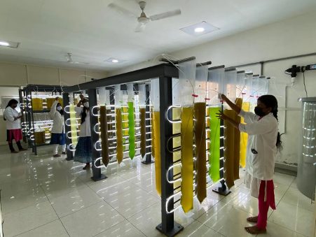 CMFRI Vizhinjam Takes a Bold Step to Conserve Yellow Neck Clam Fishery Million Seeds Produced for Sea Ranching in Ashtamudi Lake CMFRI Vizhinjam Takes a Bold Step to Conserve Yellow Neck Clam Fishery Million Seeds Produced for Sea Ranching in Ashtamudi Lake