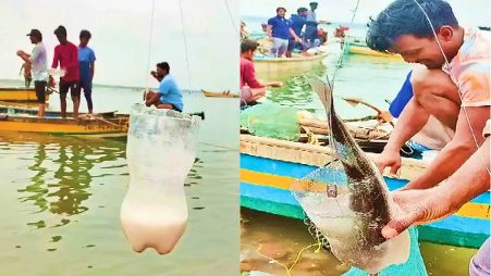 Innovative Fishing Technique Catching Fish with Plastic Bottles in Yanam Draws Attention Innovative Fishing Technique Catching Fish with Plastic Bottles in Yanam Draws Attention