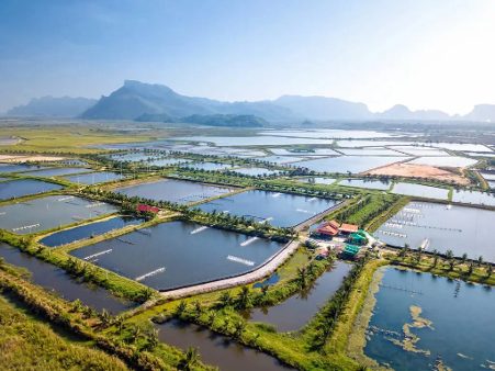 master aquaculture basics with global experts join the sec india training program MASTER AQUACULTURE BASICS WITH GLOBAL EXPERTS JOIN THE SEC INDIA TRAINING PROGRAM