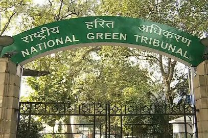 NGT TAKES ACTION TO PROTECT MANGROVES IN VISAKHAPATNAM NGT TAKES ACTION TO PROTECT MANGROVES IN VISAKHAPATNAM