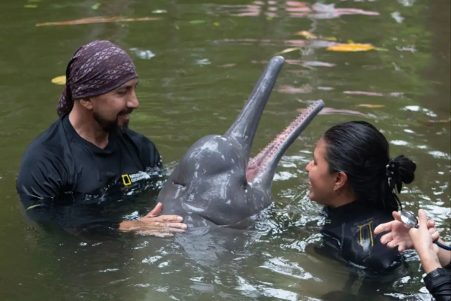 ROLEX HONORS MARINE BIOLOGIST FERNANDO TRUJILLO AS NATIONAL GEOGRAPHIC EXPLORER OF THE YEAR ROLEX HONORS MARINE BIOLOGIST FERNANDO TRUJILLO AS NATIONAL GEOGRAPHIC EXPLORER OF THE YEAR