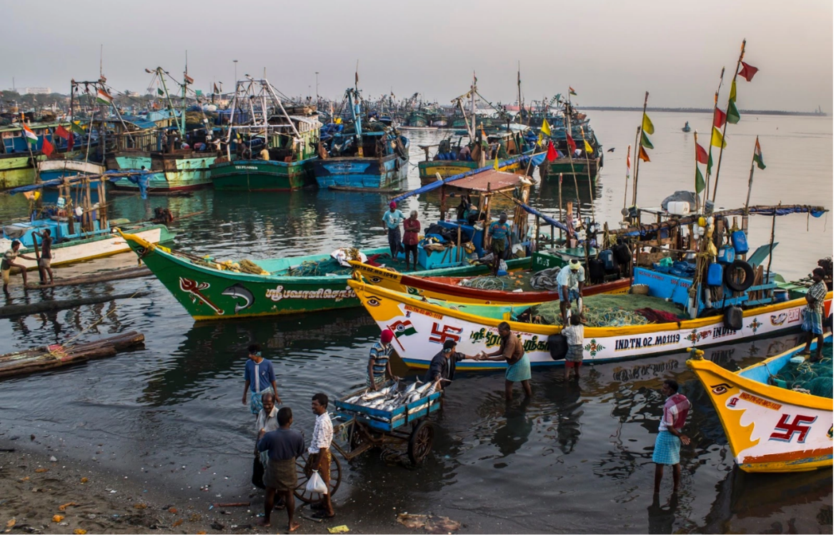 STANDING COMMITTEE CALLS FOR COMPLETE REGISTRATION OF FISHERMEN TO MAXIMIZE BENEFITS STANDING COMMITTEE CALLS FOR COMPLETE REGISTRATION OF FISHERMEN TO MAXIMIZE BENEFITS