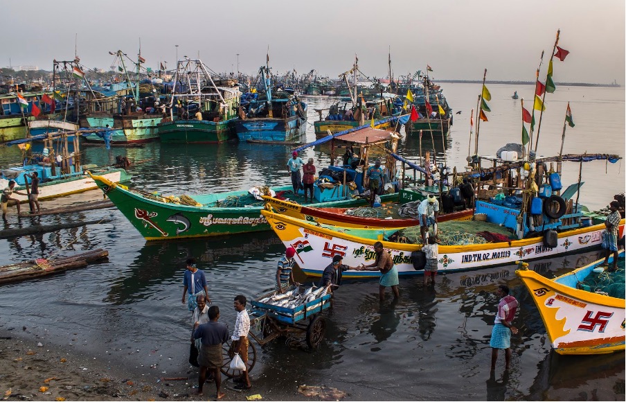 TACKLING MARINE PLASTIC LITTER IMO’S ROADMAP FOR SUSTAINABLE SHIPPING AND OCEAN PROTECTION TACKLING MARINE PLASTIC LITTER IMO'S ROADMAP FOR SUSTAINABLE SHIPPING AND OCEAN PROTECTION