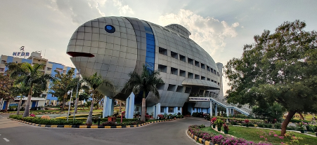 WALK IN INTERVIEW FOR EXCITING CONSULTANT & TECHNICAL POSITIONS AT NFDB WALK IN INTERVIEW FOR EXCITING CONSULTANT & TECHNICAL POSITIONS AT NFDB